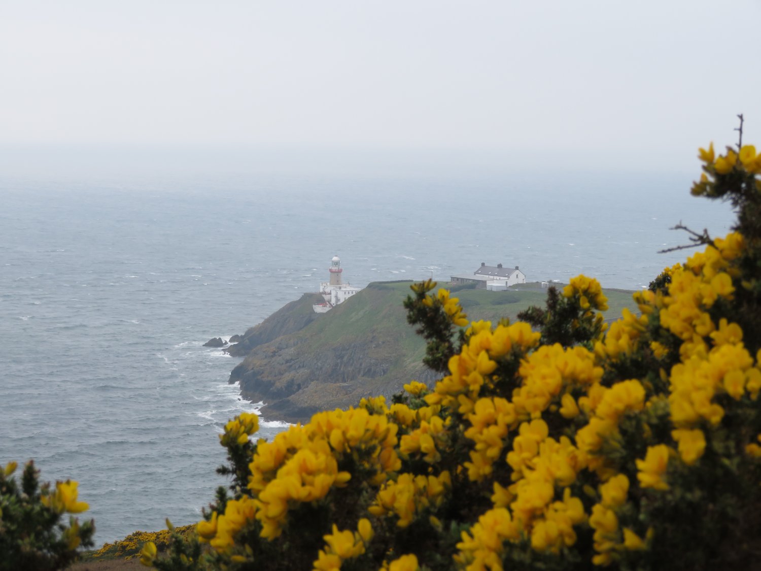 Solve Irland 2023 jigsaw puzzle online with 12 pieces