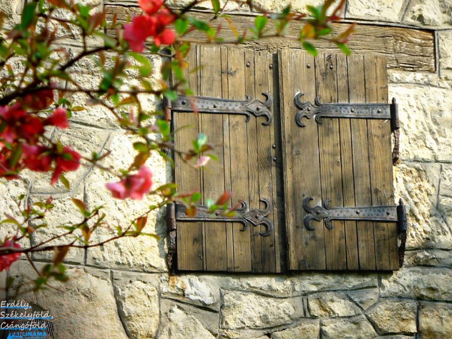 Solve Charming, Rustic Window Shutters jigsaw puzzle online with 336 pieces