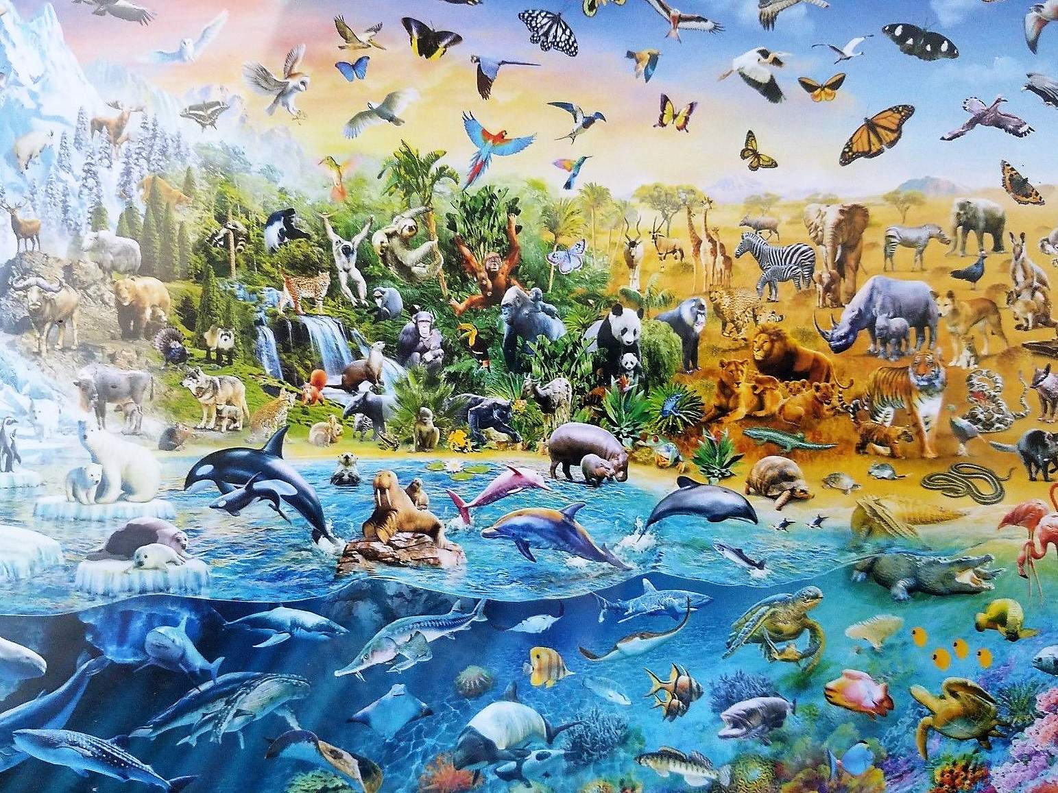 Endangered Animals Puzzle
