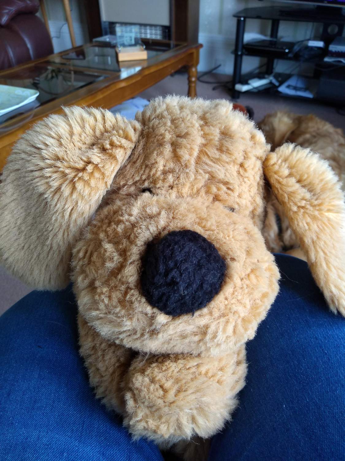 Solve quiet dog jigsaw puzzle online with 130 pieces