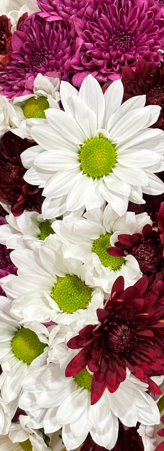 Solve Daisies and Mums jigsaw puzzle online with 75 pieces