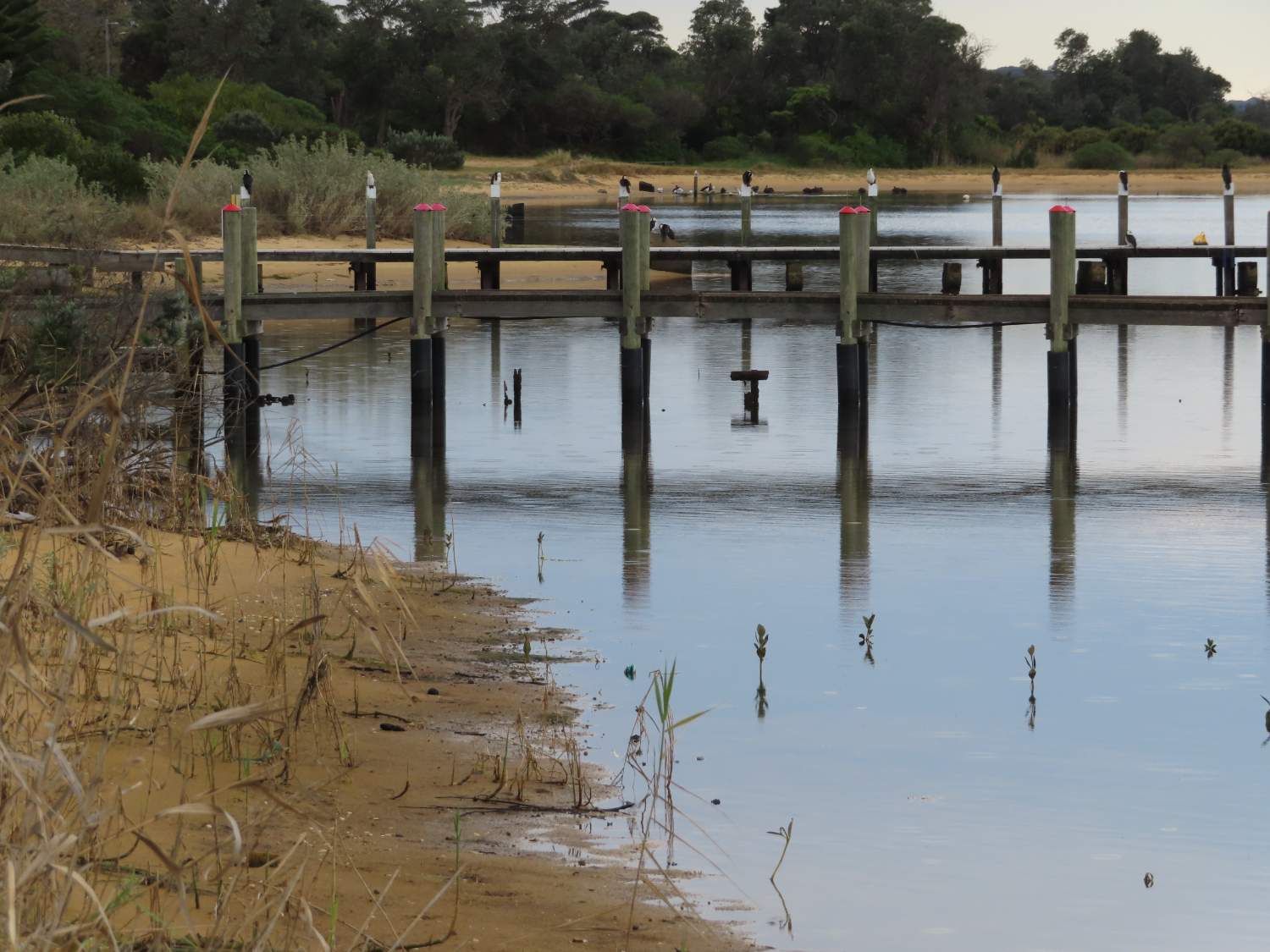 Solve Jetty on walk to Lakes Entrance jigsaw puzzle online with 48 pieces