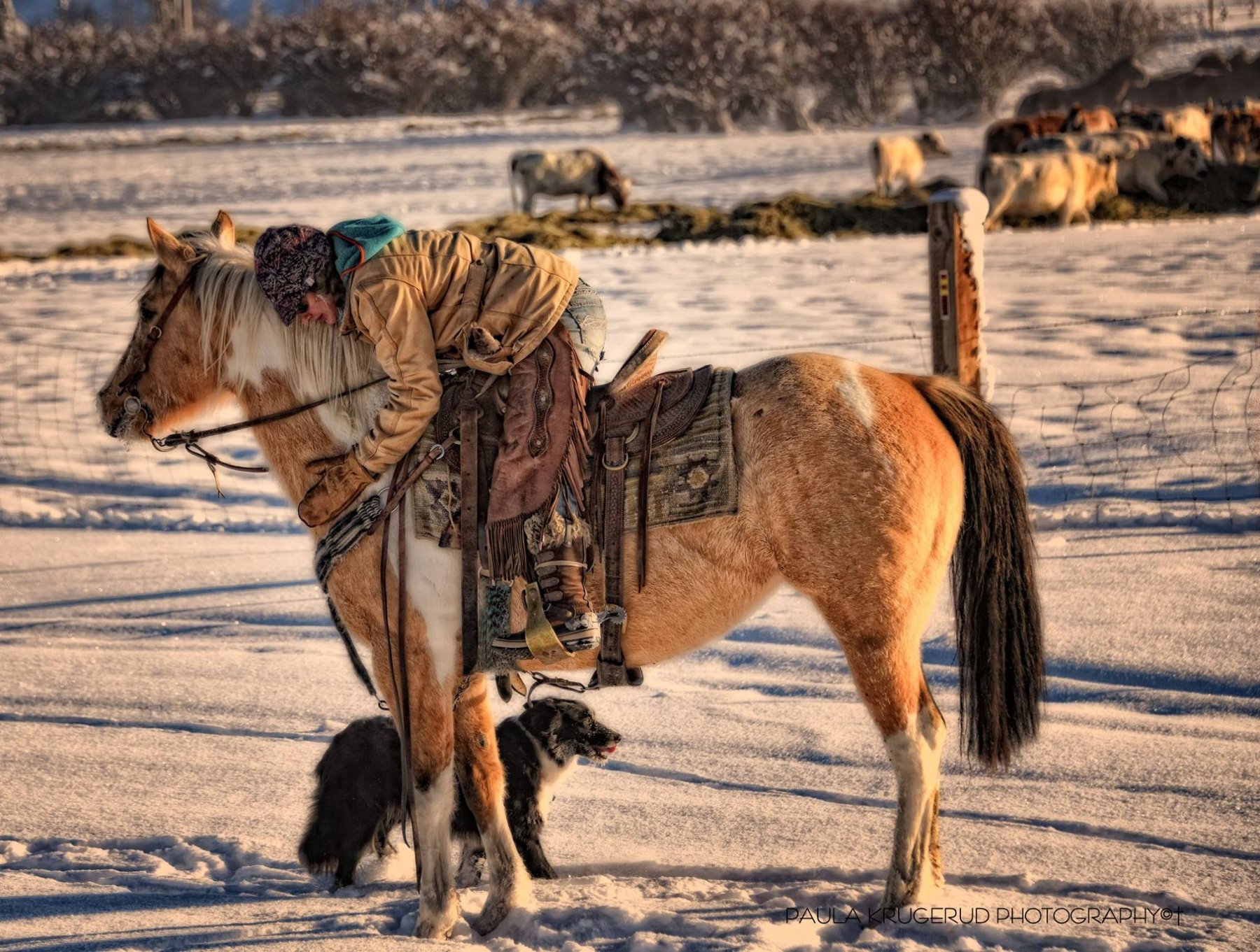 Solve Horse and Rider jigsaw puzzle online with 63 pieces