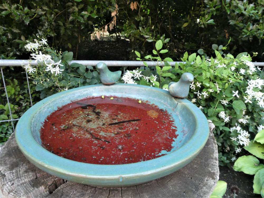 Solve Birdbath in a garden jigsaw puzzle online with 12 pieces