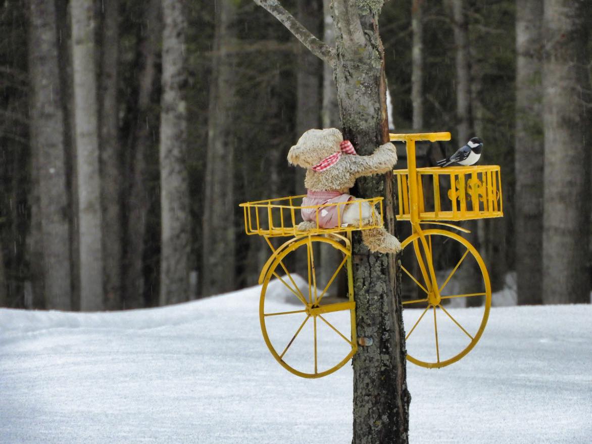 Solve The avian hitchhiker jigsaw puzzle online with 20 pieces