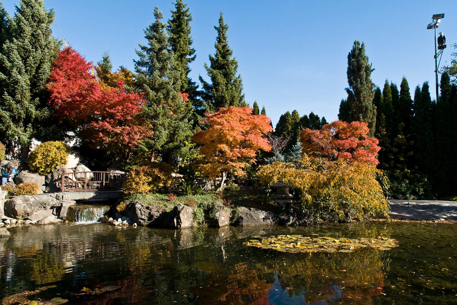Solve Kelowna, Japanese Garden jigsaw puzzle online with 70 pieces