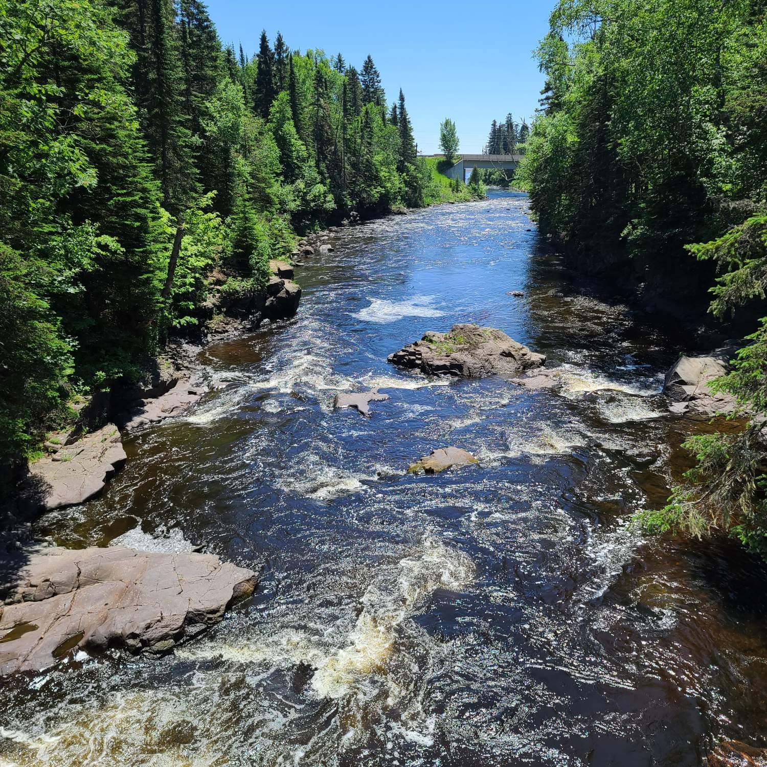 Solve Brule River jigsaw puzzle online with 256 pieces