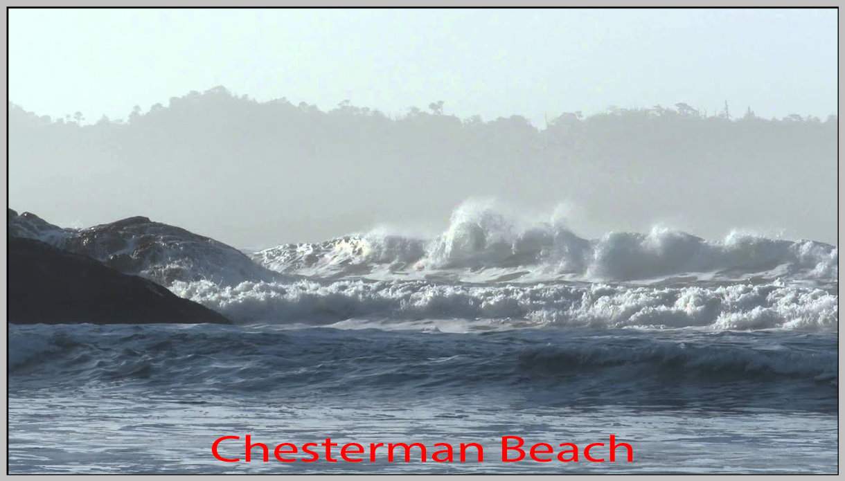 Solve Puzzle # 425 jigsaw puzzle online with 170 pieces