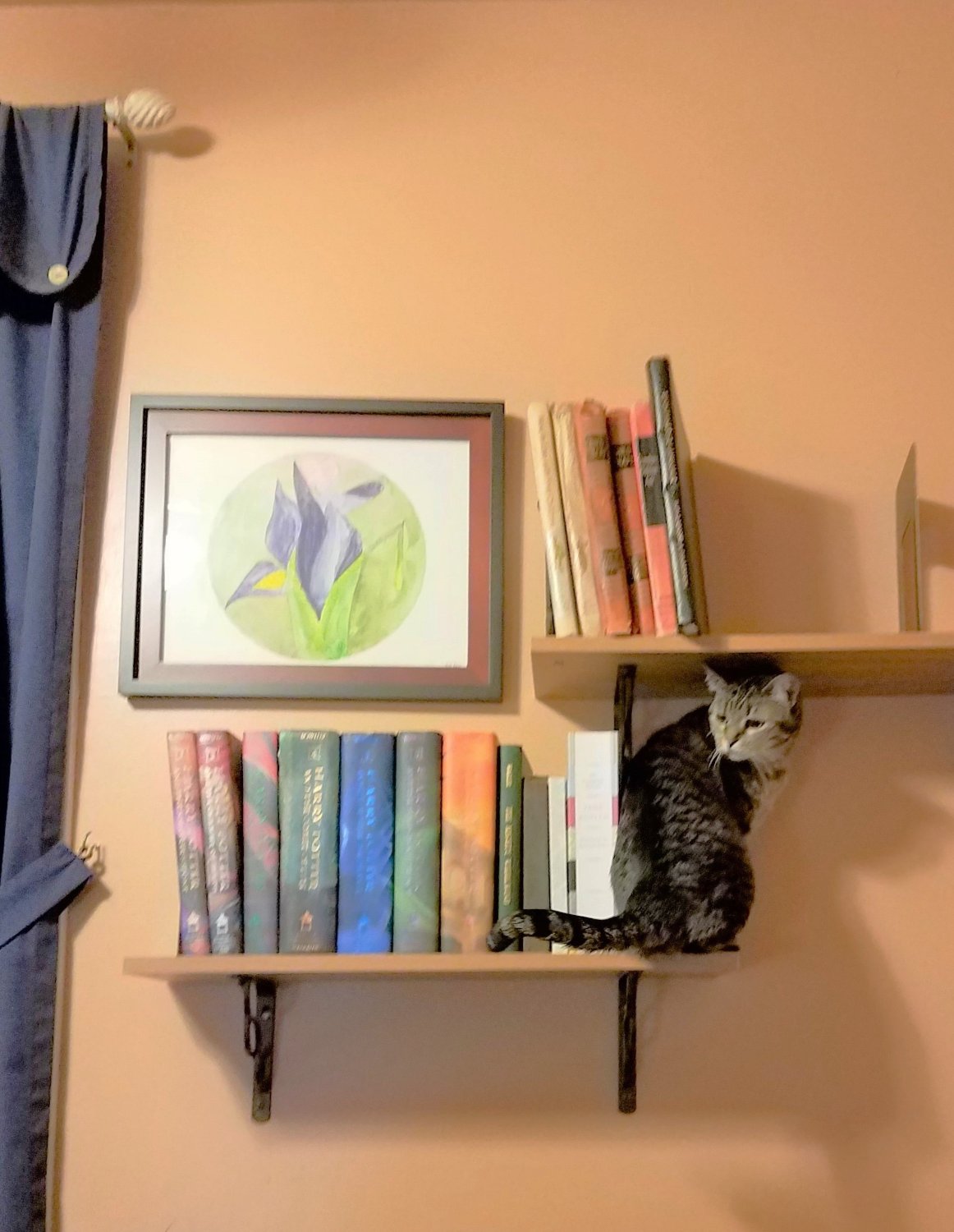 Solve Please note the new bookend jigsaw puzzle online with 99 pieces