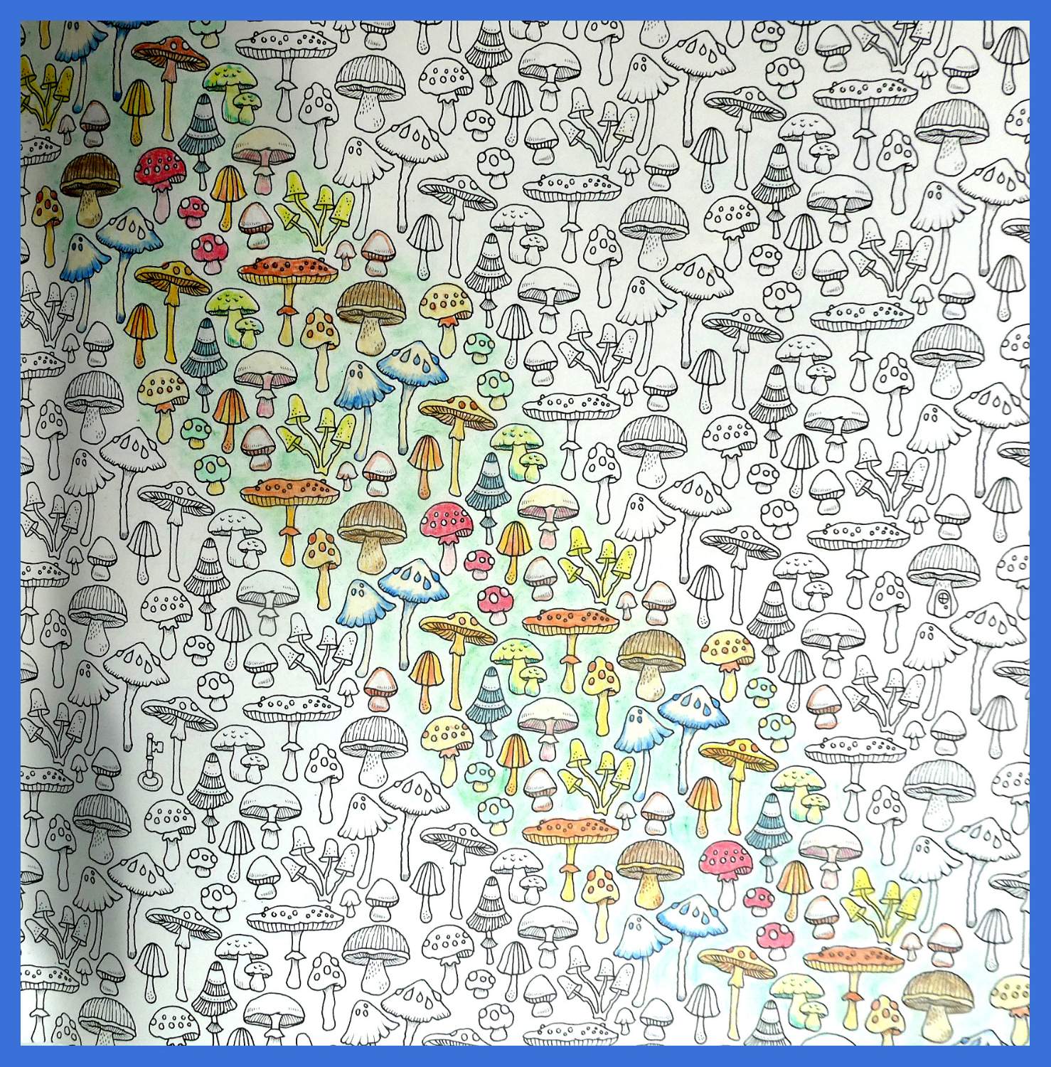 Solve Self colored drawings, from the book by Johanna Basford. jigsaw