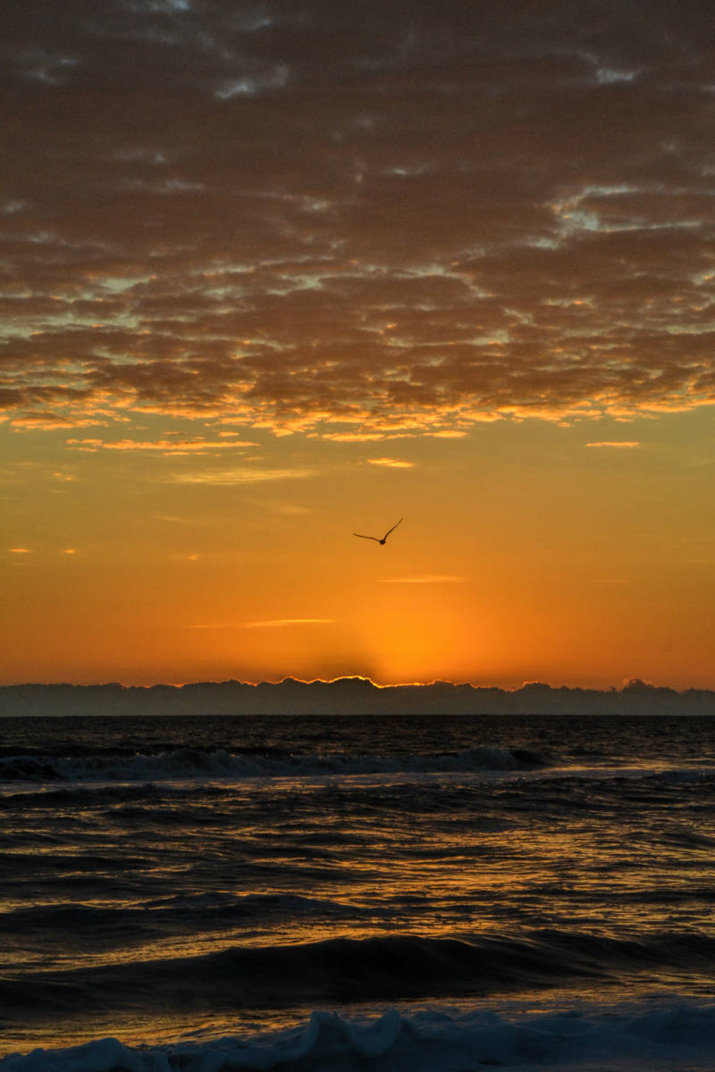 Solve Sunrise Nags Head NC jigsaw puzzle online with 96 pieces