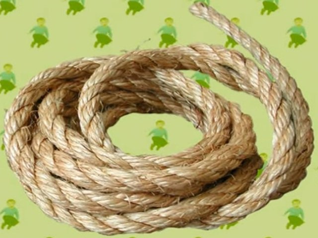 Solve rope jigsaw puzzle online with 12 pieces