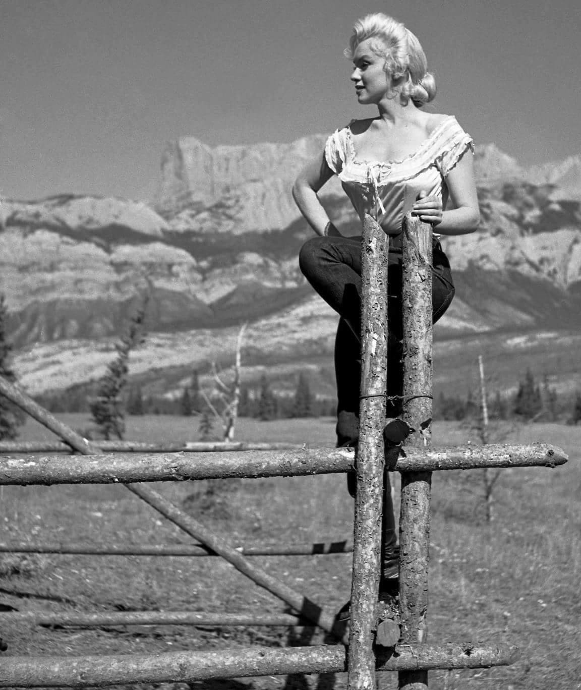 Jigsaw Puzzle 72 pieces MM Jigidi