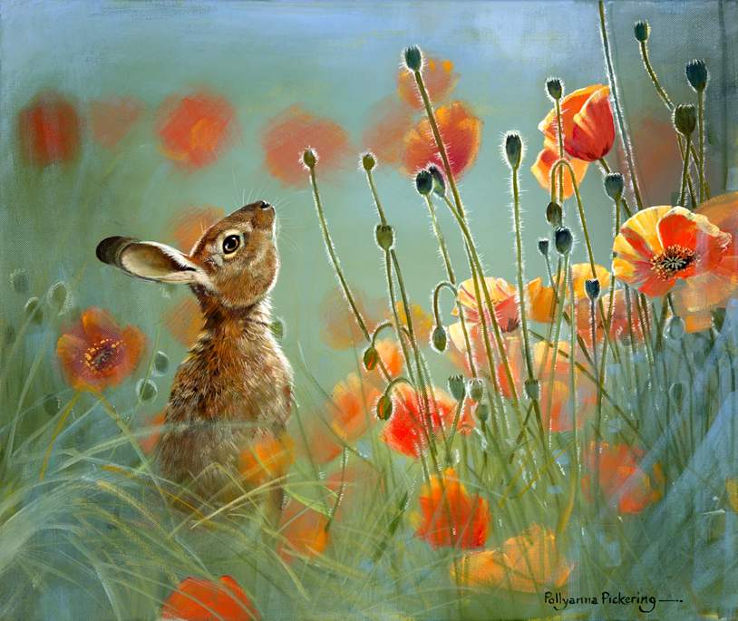 Solve Rabbit in the Poppy Field jigsaw puzzle online with 156 pieces
