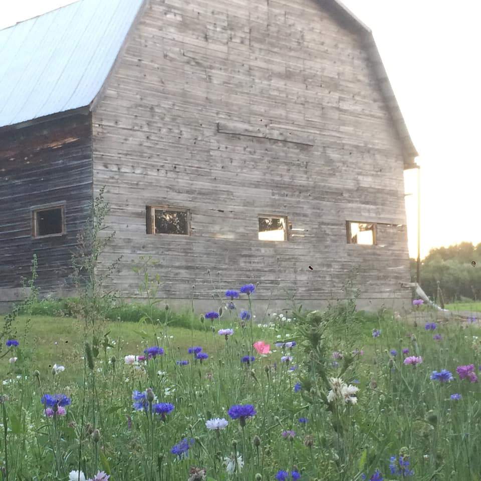 Solve Cache Bay, Ontario jigsaw puzzle online with 196 pieces