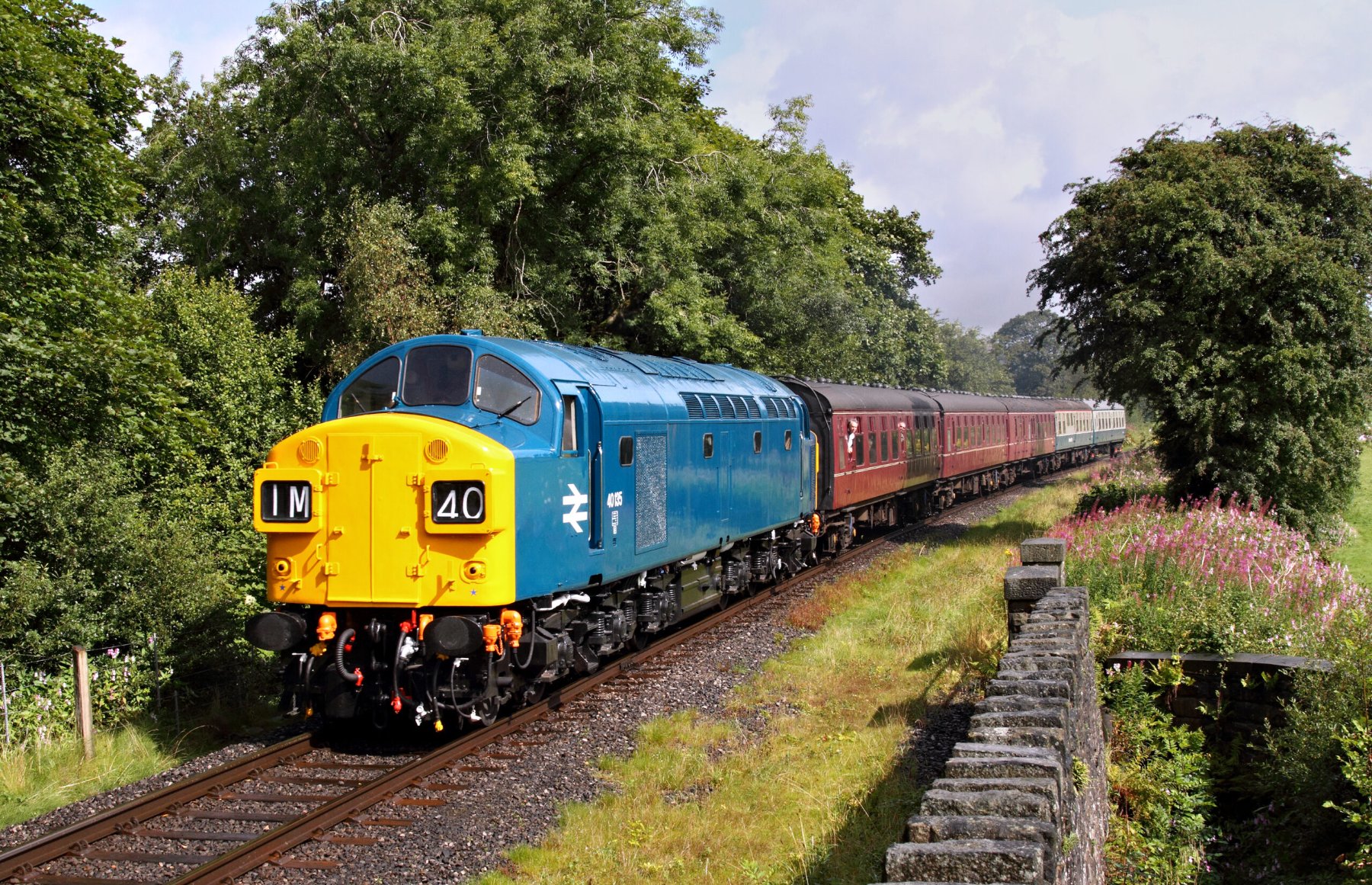 Solve br class 40 40135 jigsaw puzzle online with 54 pieces