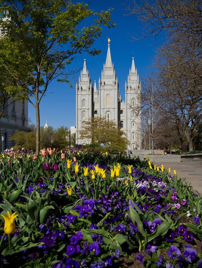 Solve Salt Lake Mormon Temple in Summer jigsaw puzzle online with 130