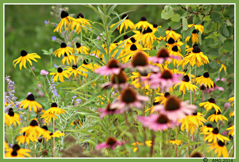 Solve Grass Creek Park, Kingston jigsaw puzzle online with 12 pieces