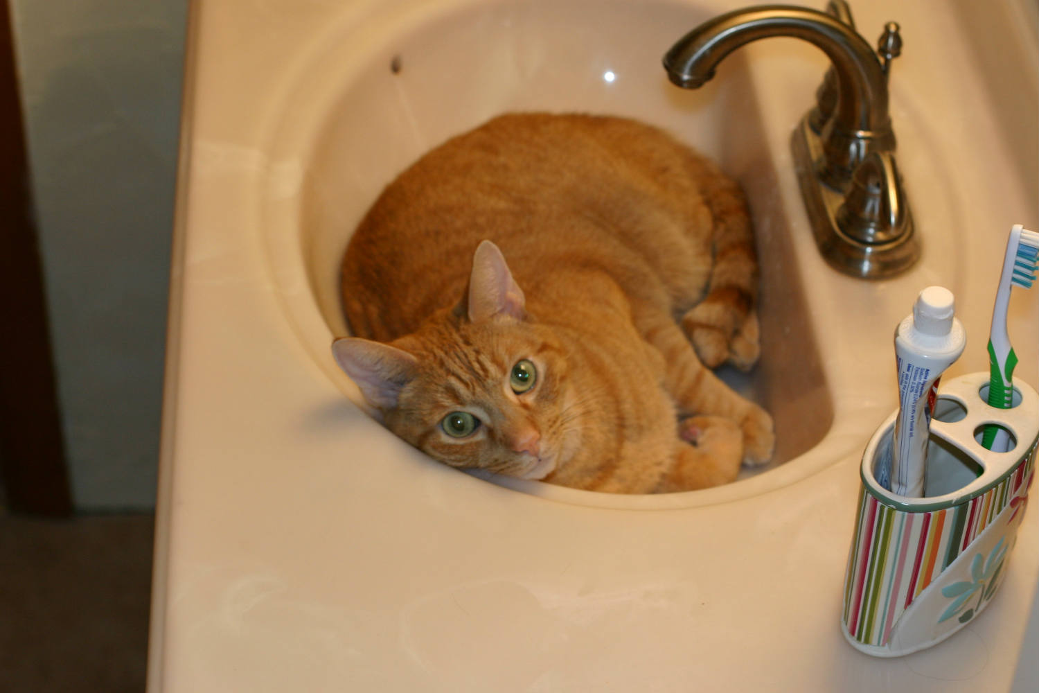 Solve what, is this not normal? jigsaw puzzle online with 150 pieces