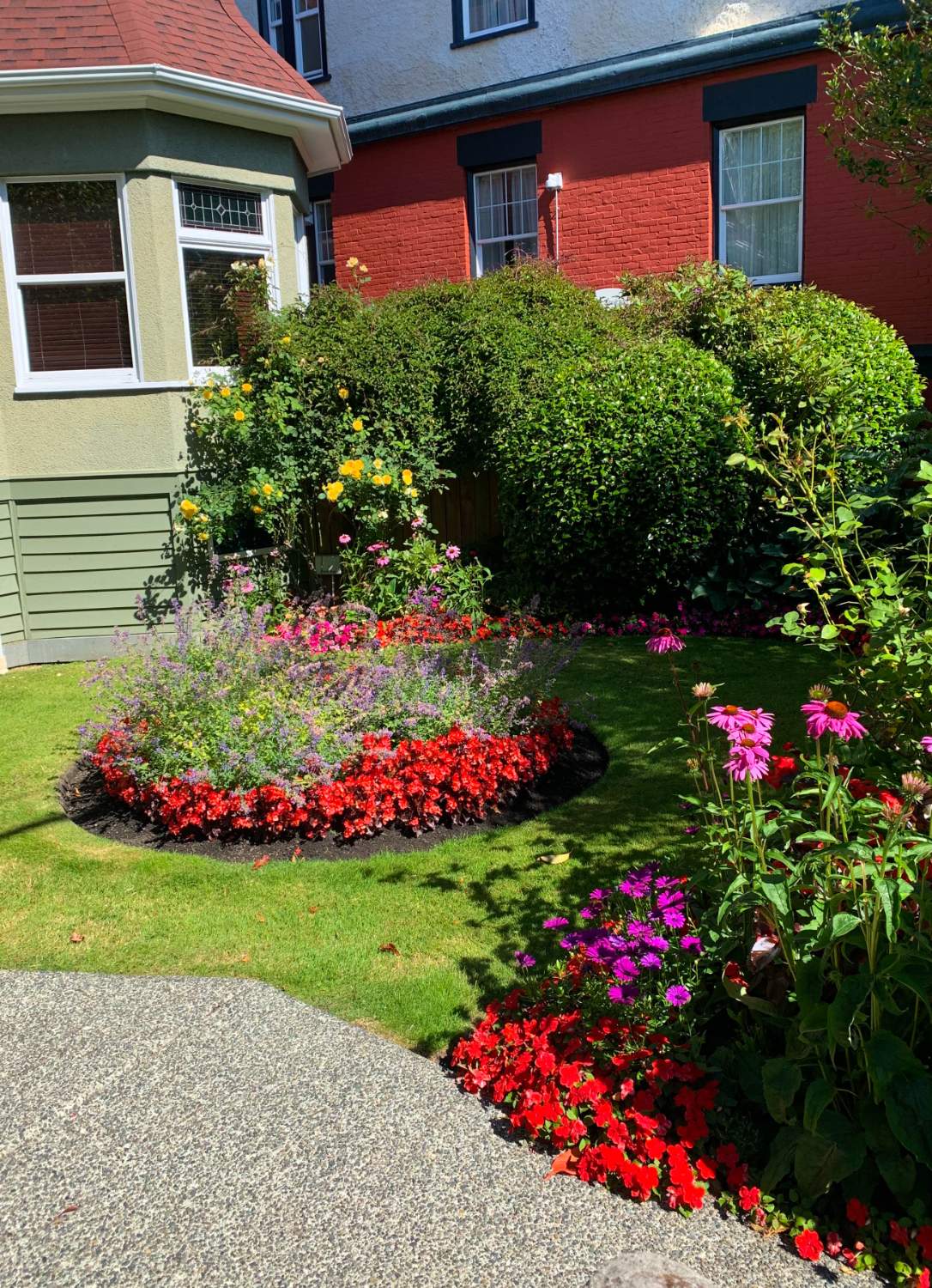 Solve A flowerbed in the James Bay area of Victoria BC jigsaw puzzle