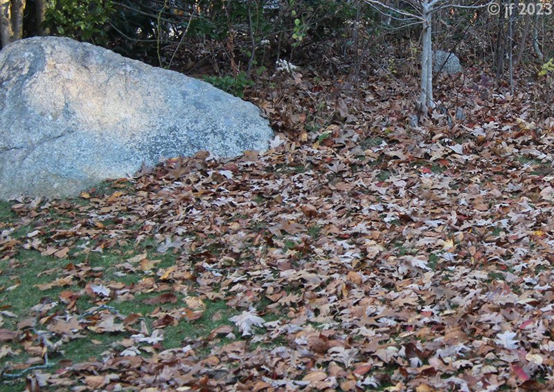 Solve Time To Rake jigsaw puzzle online with 35 pieces Solve Time To Rake jigsaw puzzle online with 35 pieces