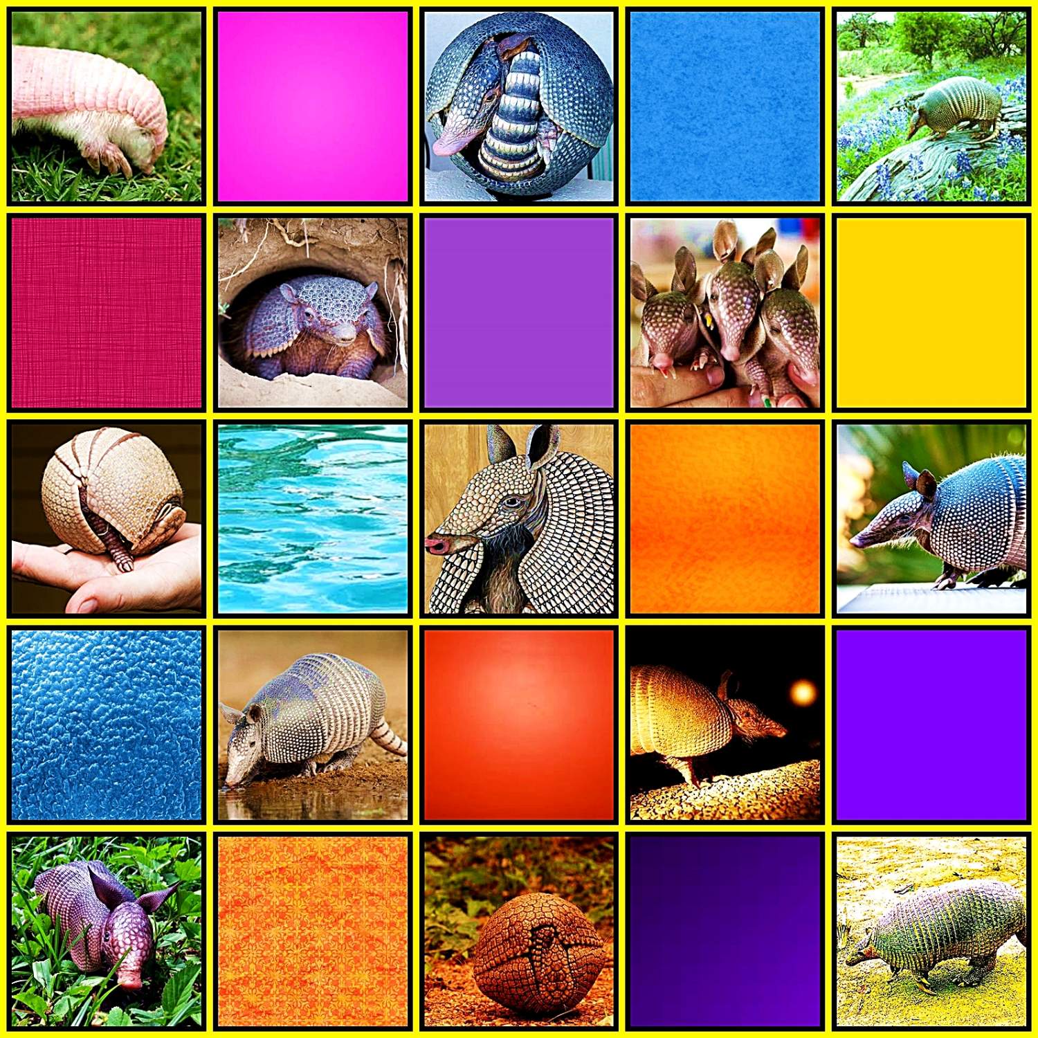 Solve Armadillo By Morning jigsaw puzzle online with 169 pieces