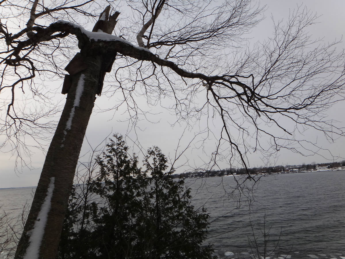 Solve Lake Ontario from Lemoine Point. Kingston, Ontario. jigsaw puzzle