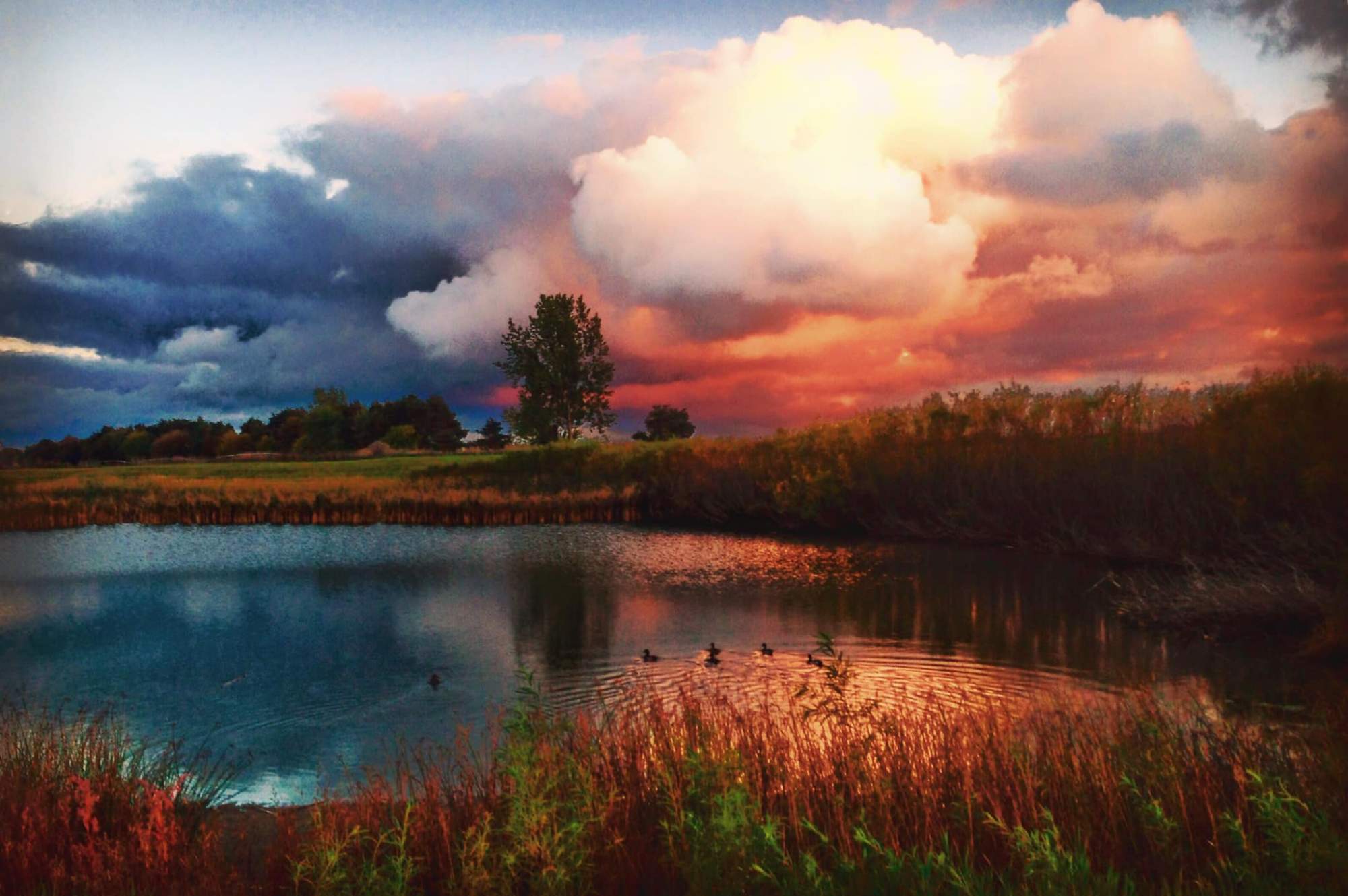 Solve Fall in Ontario by Claude jigsaw puzzle online with 600 pieces