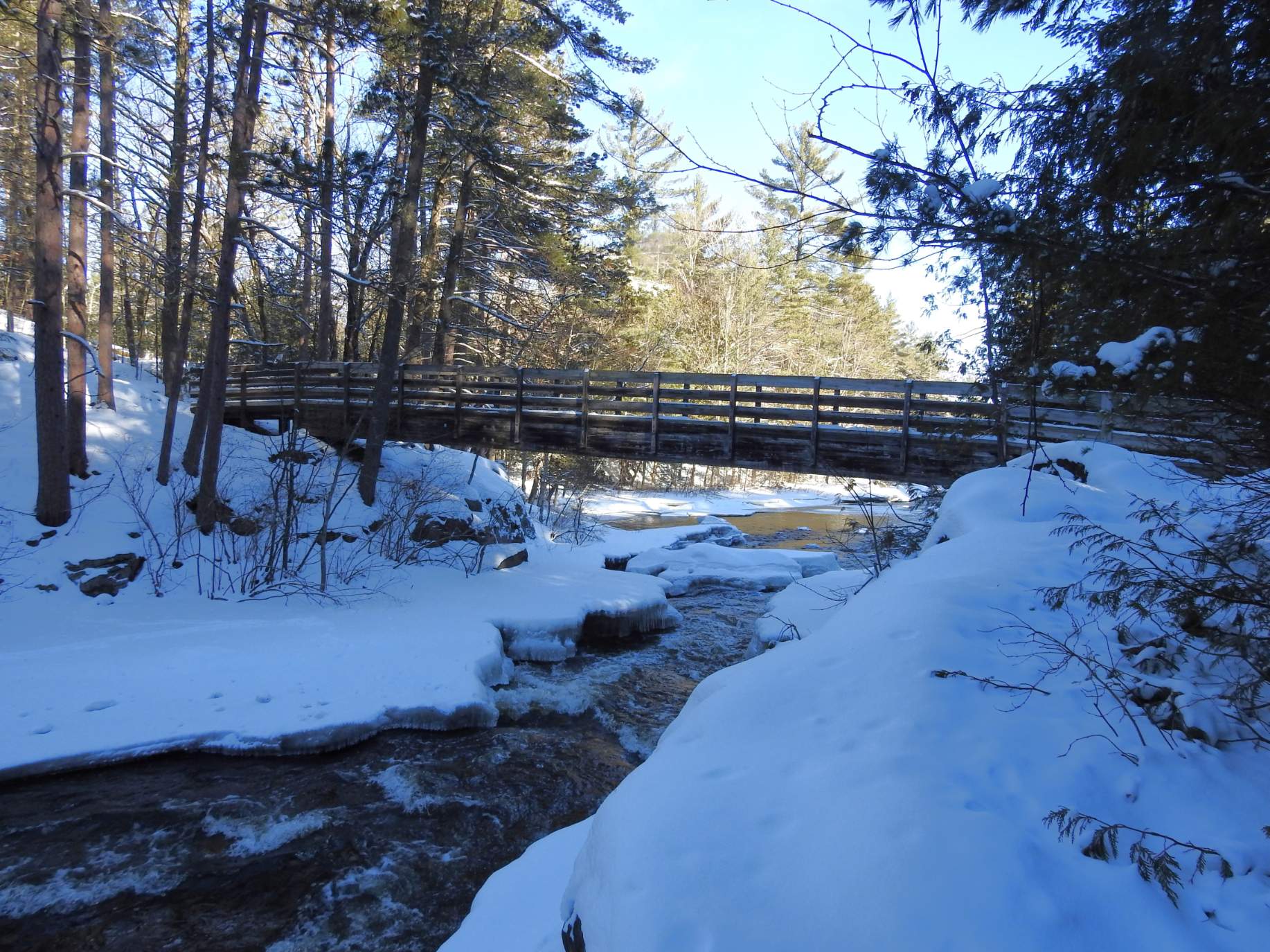 Solve Pike River jigsaw puzzle online with 165 pieces