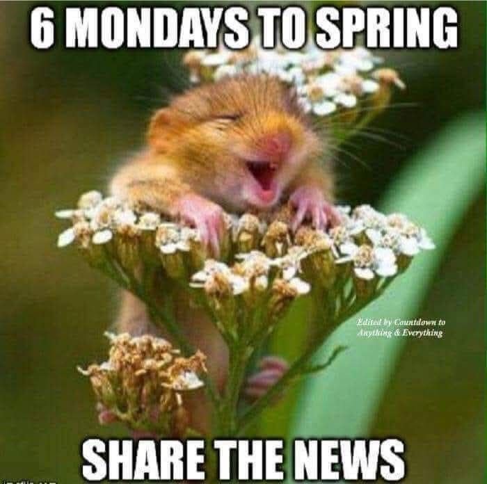 Solve ....6....mondays.to spring.... jigsaw puzzle online with 9 pieces