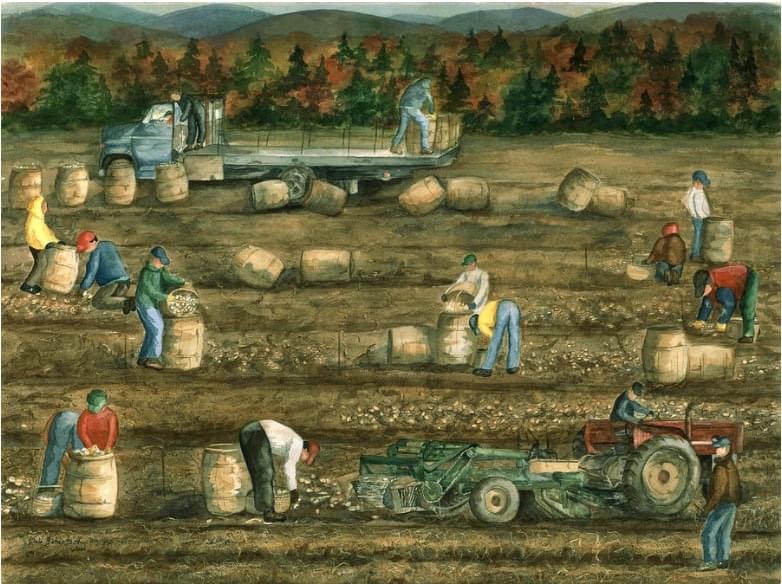 Solve Aroostook County, Maine potato harvest jigsaw puzzle online