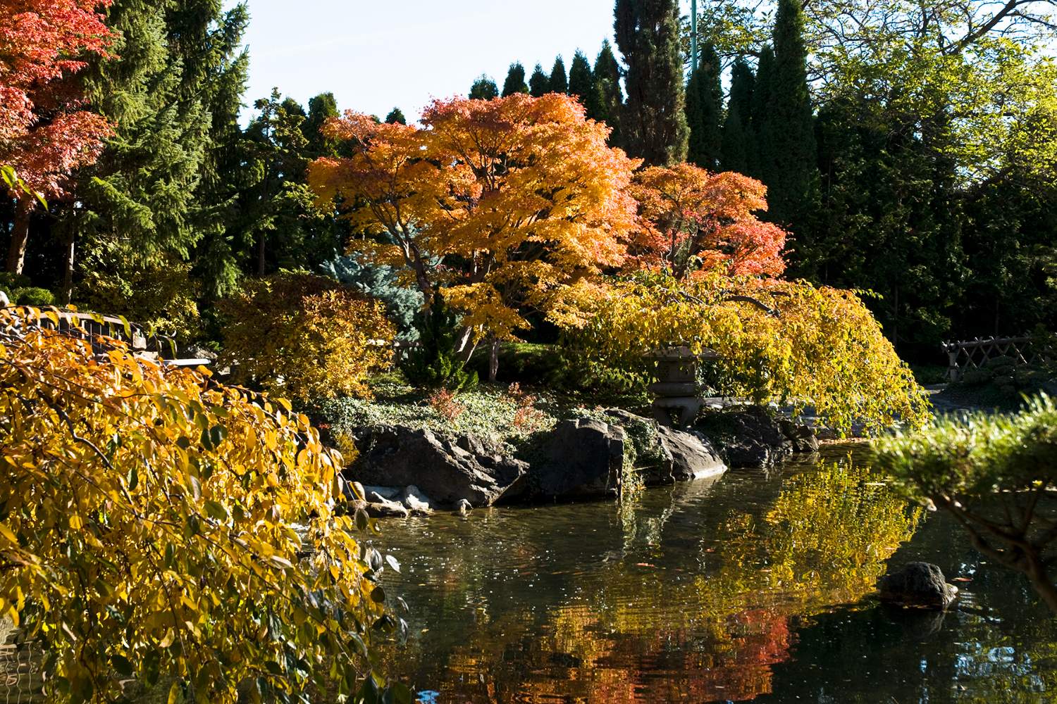 Solve Kelowna jigsaw puzzle online with 70 pieces