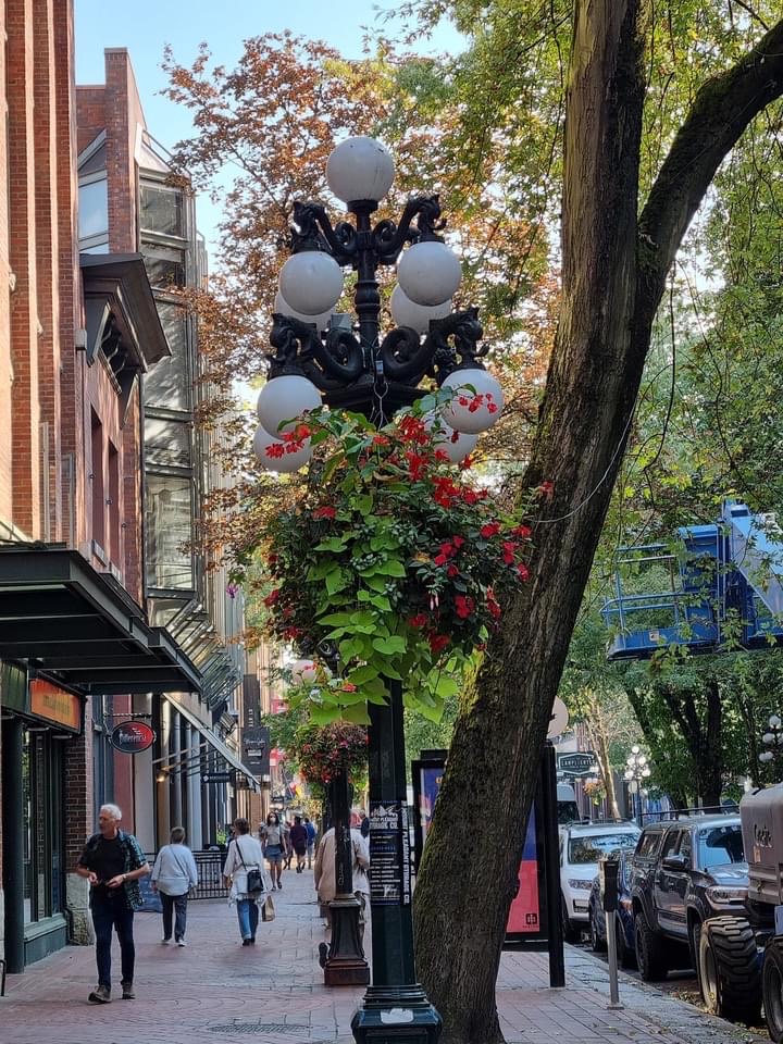 Solve Downtown Vancouver jigsaw puzzle online with 80 pieces