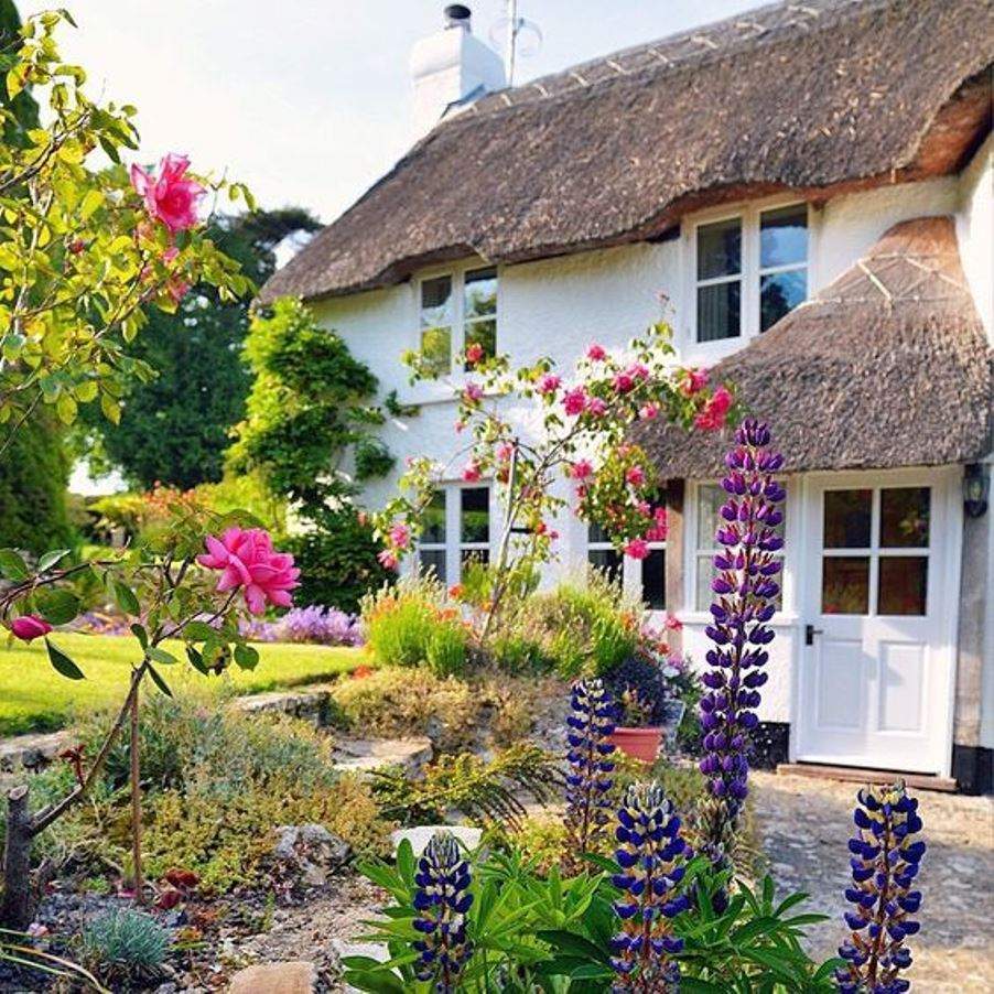 Puzzle 81 pièces Thatched Roof Cottage Devon, England Jigidi