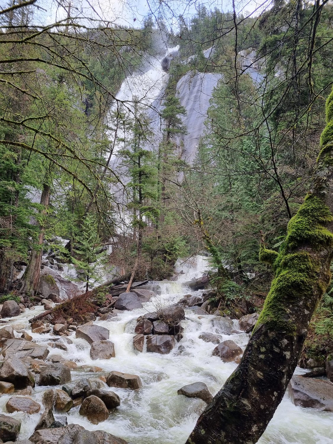 Solve waterfall jigsaw puzzle online with 63 pieces