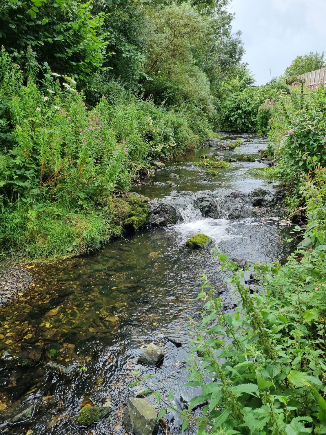 Solve 3 mile water at Mossley jigsaw puzzle online with 130 pieces