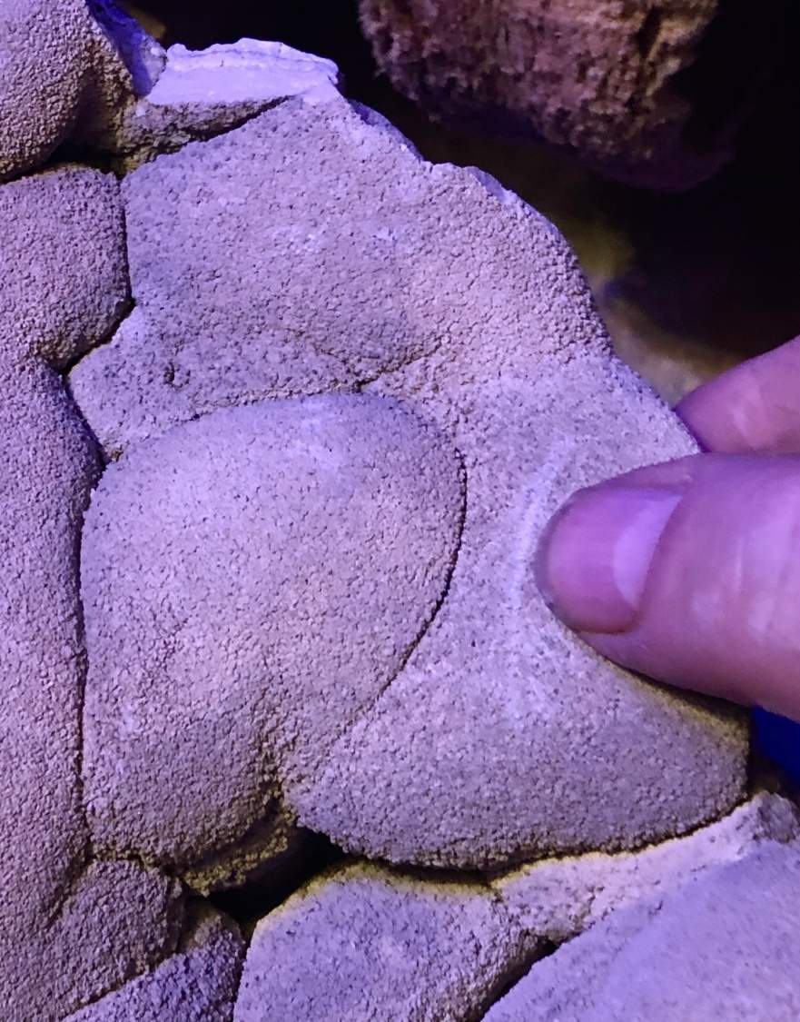 Solve FINGERNAIL SCRATCH TUFA ROCK FORMATION jigsaw puzzle online with