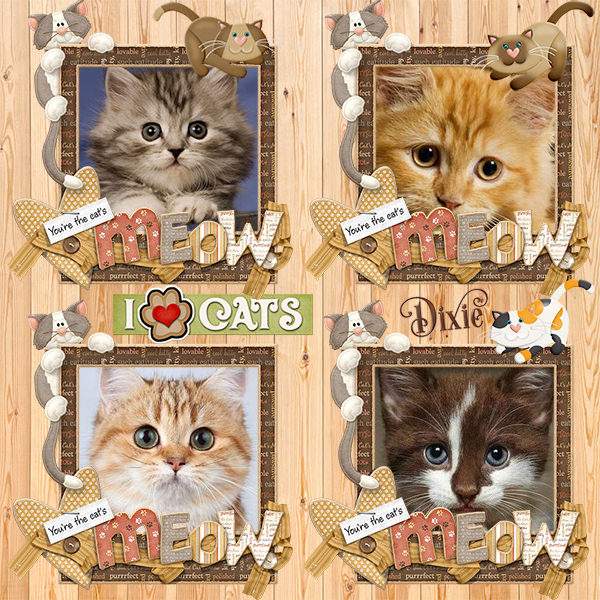 Solve 📷 Dixie's Fridge 309 jigsaw puzzle online with 25 pieces