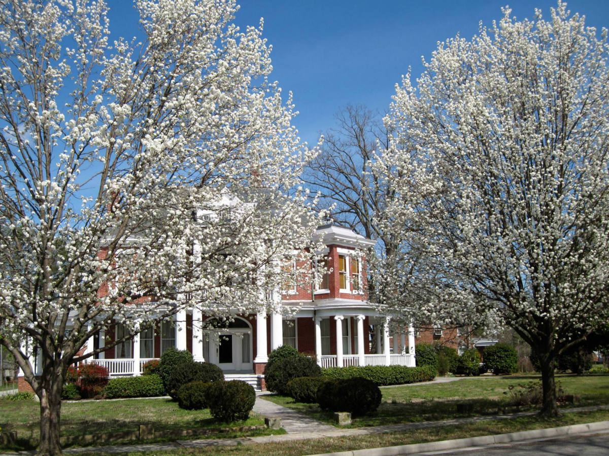 Solve Crewe , Virginia House jigsaw puzzle online with 108 pieces