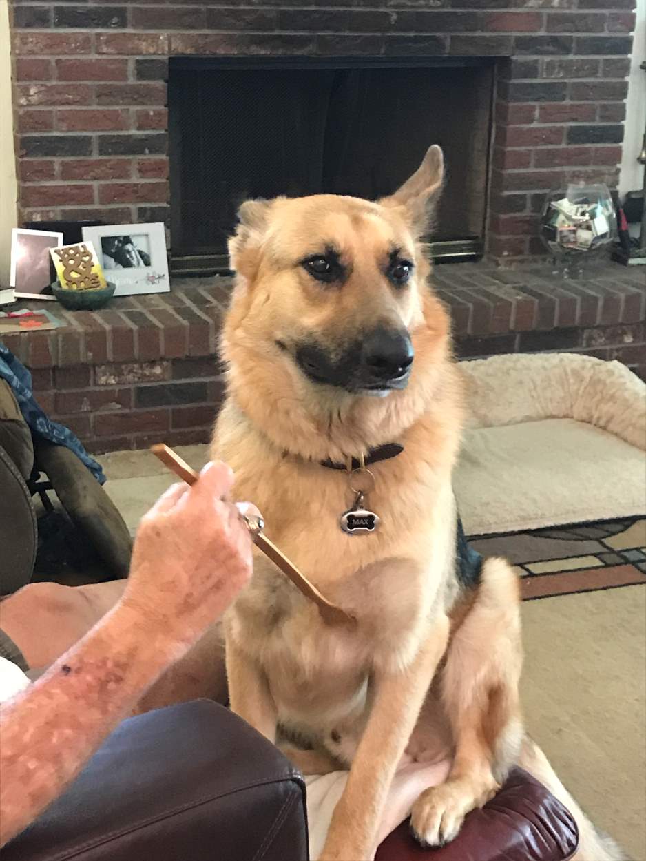 Solve Max likes his chest rubs. jigsaw puzzle online with 80 pieces