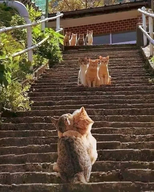 Solve Add a Caption! jigsaw puzzle online with 20 pieces