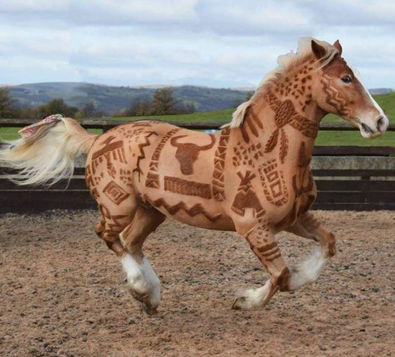 Solve Horse Hair Trimming Art jigsaw puzzle online with 110 pieces
