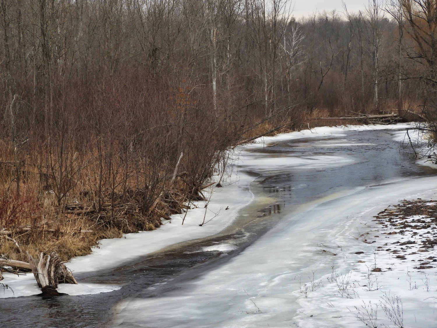 Solve The Brunsweiler River, Marengo, WI jigsaw puzzle online with 20