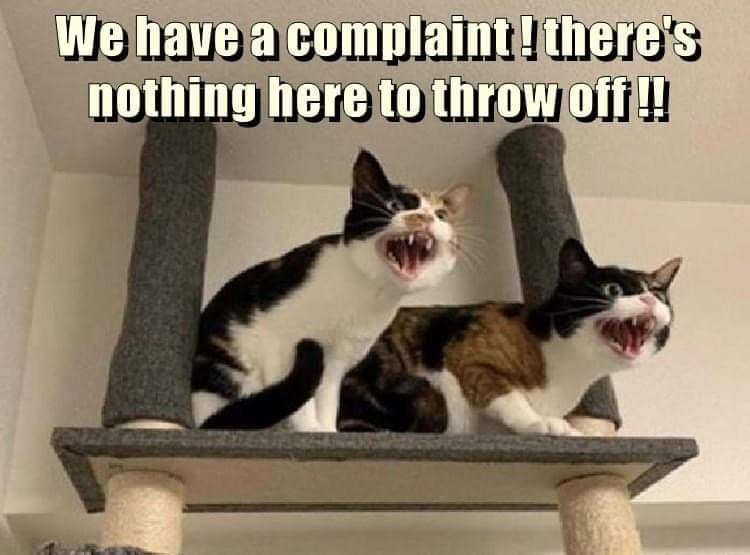 Cat Complain Solve Wobblybear's Fun Stuff (wbfs) - Cat complaint 😾😾 jigsaw puzzle ...