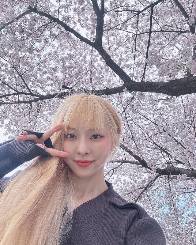 Solve Vivi (Loossemble/Loona) jigsaw puzzle online with 48